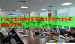 廣東大型跨境電商實戰培訓助力企業拓展全球市場